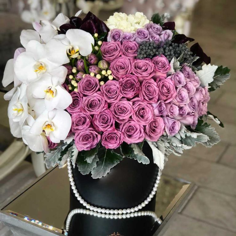 Поллукс polluks