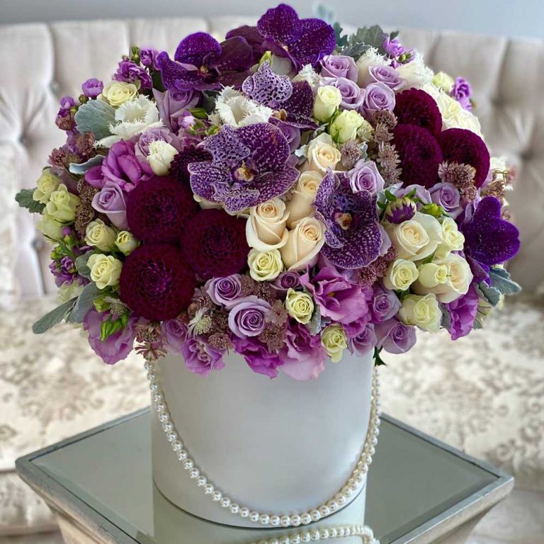 Мебсута mebsuta